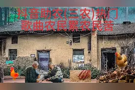 抖音助农(三农)热门歌曲农民累农民苦视频封面