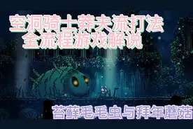 [空洞骑士莽夫流打法游戏解说]苔藓毛毛虫与拜年蘑菇
