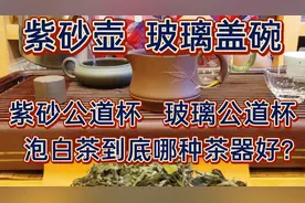 用十五分钟视频对比紫砂壶和玻璃盖碗泡同一款白牡丹，结果如何？视频封面