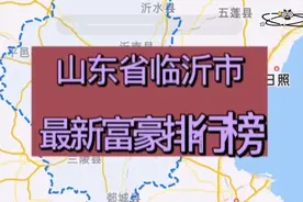 山东临沂最新富豪排行榜视频封面