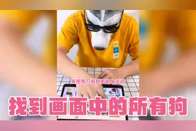 找到游戏画面中的所有狗，最后一个让男生痛哭流涕视频封面