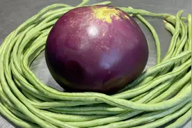 厨师长教你茄子炒豆角的家常做法，步骤详细，鲜香微辣下酒又下饭视频封面