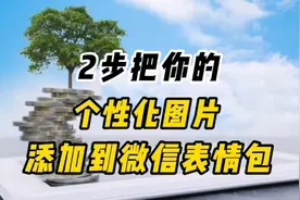 二步把你拍的图片添加到表情包中，创建独特个性化表情，简单实用