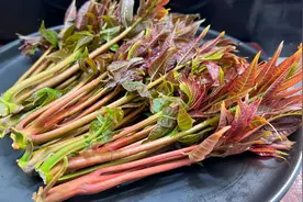 香椿焯水是大错！30年大厨教你正确做法，鲜嫩又美味，营养不流失视频封面