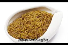 桂花的功效与作用@中视频伙伴计划官号 @西瓜创作研究中心