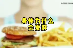 身体为什么会发胖视频封面