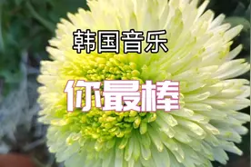 韩国音乐《你最棒》＃动态简谱