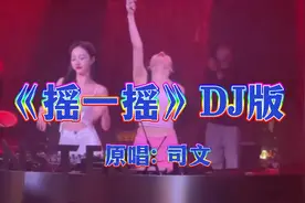 一首超好听的，DJ舞曲《摇一摇》 中文DJ版。