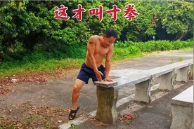 农村大叔展示无敌寸拳，这爆发力，武僧一龙看到都得让三分视频封面