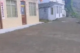 农村人的本性视频封面