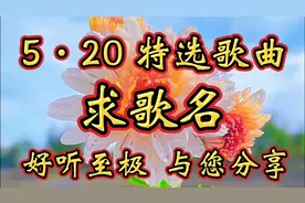 今天是5•20我爱你！网络情人节！精选好听歌曲愿有情人终成眷属