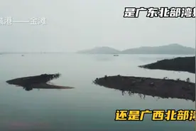 北部湾为什么要划归广西？如果还在广东，会不会发展更好？视频封面