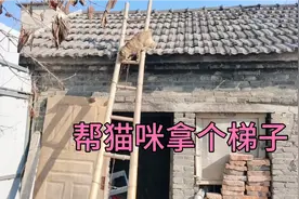 猫咪上房顶下不来，拿个梯子过来，能帮你的就这么多，还要靠自己