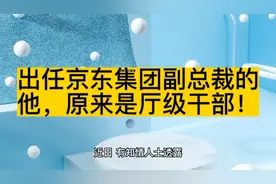 出任京东集团副总裁的他，原来是厅级干部！视频封面