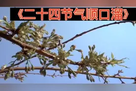 《二十四节气》顺口溜！保护文化遗产！传承民俗意蕴！视频封面