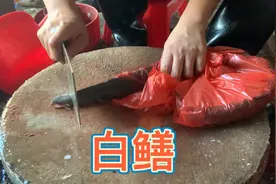 处理一条白鳝鱼 酸梅蒸白鳝最好吃😋