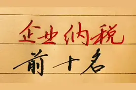 企业纳税前10名，茅台第10，阿里第9，中石油第5，你知道首位吗视频封面