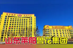 小县城里的大企业，年营业额400多亿元，山东烟台莱阳，鲁花集团视频封面
