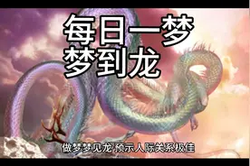 周公解梦之梦到龙视频封面