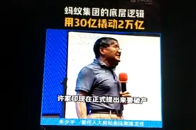 蚂蚁集团的底层逻辑，用30亿撬动两万亿。