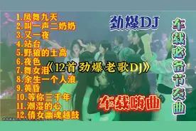 抖音精选12首劲爆老歌DJ，嗨翻全场，小姐姐蹦迪，车载必备曲儿