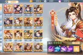 欢乐三国杀：姜维的护国麒麟到手了！