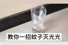 教你自制灭蚊神器，制作简单，家里放一个，蚊子死得干干净净