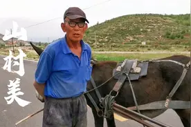 河北张家口70岁农村大爷真辛苦，把种地比喻成干啥？说就是自由点视频封面