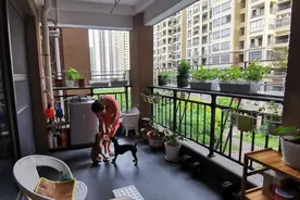 50岁提前退休移居二线城市，养了两只狗狗生活平淡朴实快乐视频封面