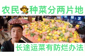 网友：农民种菜分两片地，长途运菜有防烂办法。视频封面