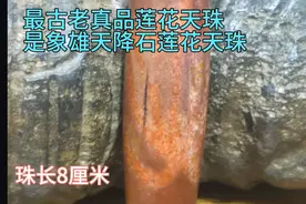 最古老的真品莲花天珠
是西藏古象雄时期的天降石材质莲花老天珠视频封面