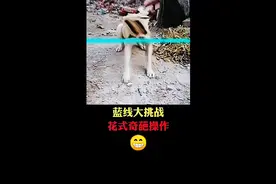 蓝线大挑战花式奇葩操作