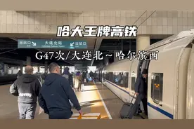 哈大王牌高铁，G47列车从大连北出发，只停靠东北三座省城视频封面
