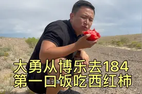 大勇从博乐去184团，途径魔鬼城，第一口饭吃西红柿，混的差了？视频封面