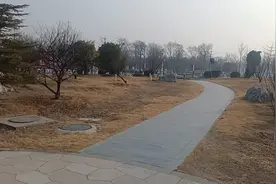 来济宁海关办理健康证，趁着等下午领证的间隙，逛逛家乡的南四湖