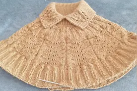 从上往下织，复古小翻领毛衣裙，编织教程（二）视频封面