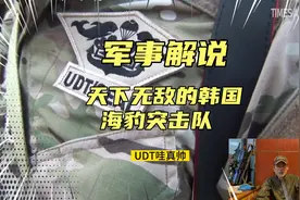 【军事解析】天下无敌的韩国海豹突击队视频封面
