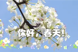 滨州小众景区打卡，阳信万亩梨园，公交景点都免费视频封面