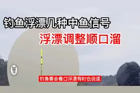 钓鱼浮漂常见的几种中鱼信号，浮漂调整顺口溜