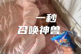 区分真睡假睡，论召唤小神兽的方法！