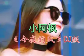 小阿枫《今夜的风》DJ版，开车必听，越听越嗨！
