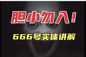 666号实体＂电脑病毒＂讲解视频封面