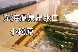 连云港唯一天然温泉，对皮肤病有奇效，1963年上了《大英百科》。视频封面