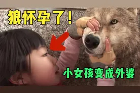 真实事件，小女孩与狼王同居6年，狼凶狠嗜血，却认4岁女孩为主人视频封面
