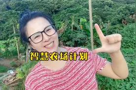 趁着年轻，我想为自己的梦想拼一把。我的深圳共享农场计划开始了视频封面