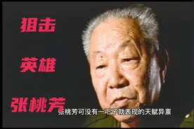 张艺谋《狙击手》原型，狙击英雄 张桃芳视频封面