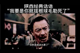 陕西经典话语“我要是你就拔根球毛把自己勒si了”视频封面