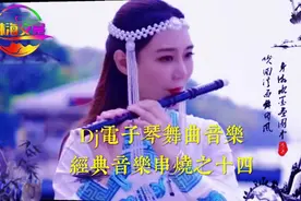 欣赏Dj电子琴舞曲音乐“经典音乐串烧之十四”，好听好听好听！