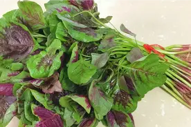 湖北人做苋菜是怎么吃？教你家常做法，鲜嫩爽滑营养不流失视频封面