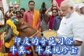 印度人的奇葩习俗，把牛粪和牛尿当宝贝，据说用牛粪做茶杯喝红茶视频封面